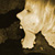 bild1